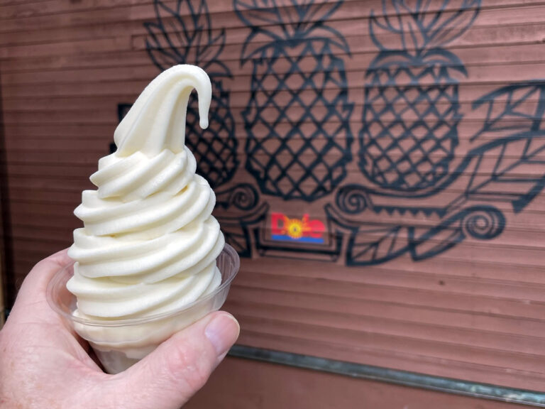 Our Favorite Disney World Snacks