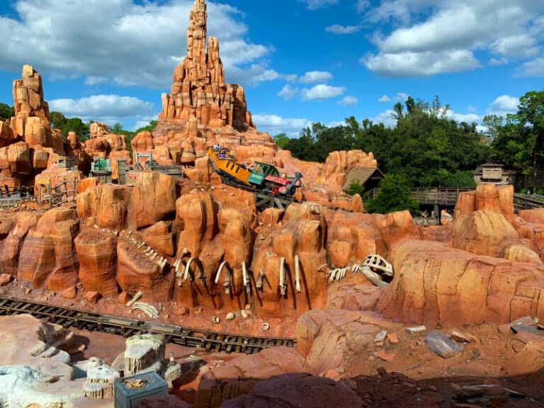 Our Favorite Disney World Coasters